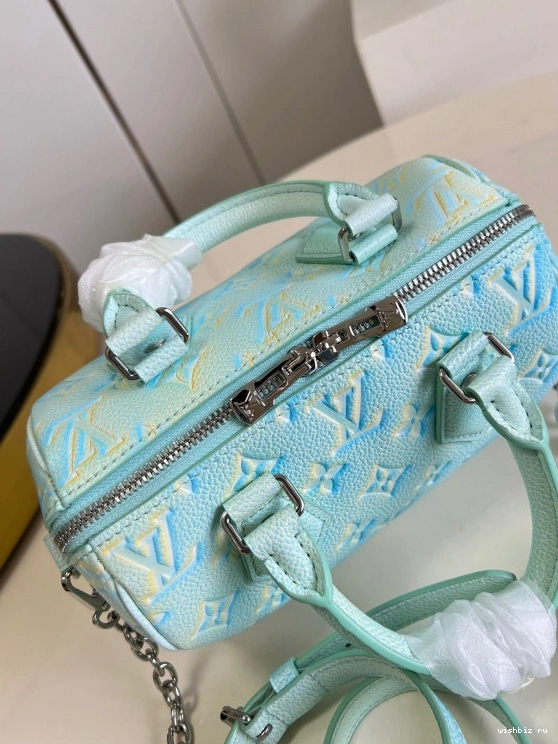 WIS LOUIS SPEEDY VUITTON BANDOULIÈRE 20 0825
